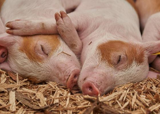 april - oktober-Schwarzenbek 